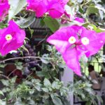 MVI_3155 - frame at 0m0s